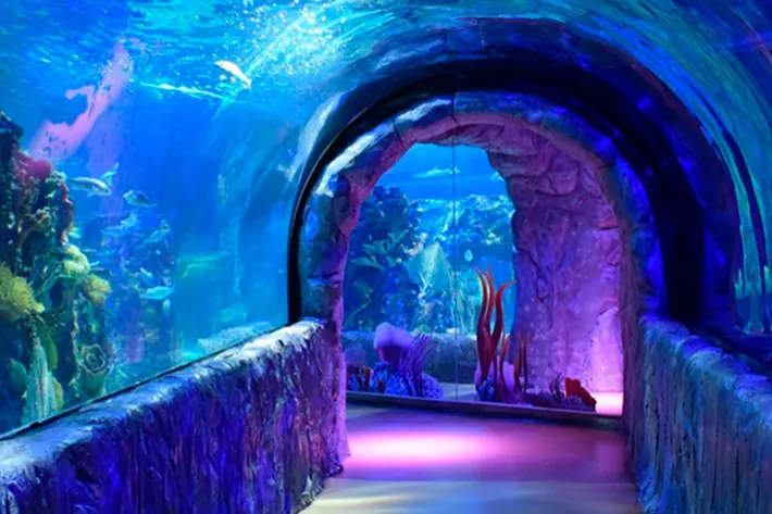 Acuario Inbursa